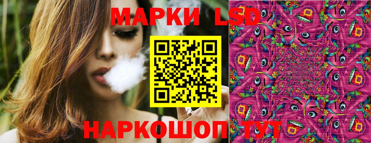 Лсд 25 Сертолово