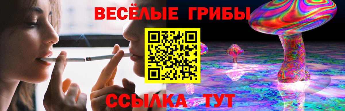Меф МЯУ МЯУ  ГАШИШ  Вход с VPN  Как найти наркотики?  Сертолово  МЕФ   Канабис 